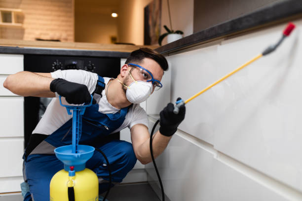 Best Flea Control Services  in Park City, KS