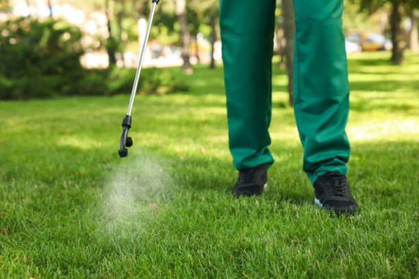 Best Cockroach Control Services  in Park City, KS