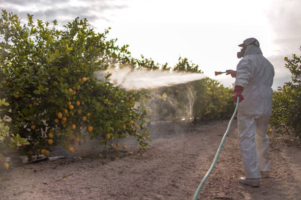 Best Pest Removal Services  in Park City, KS