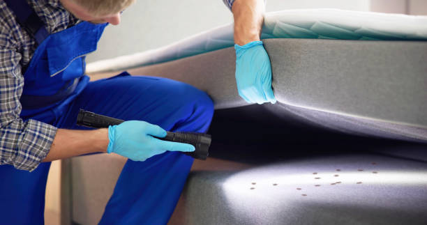 Pest Prevention Services in Park City, KS