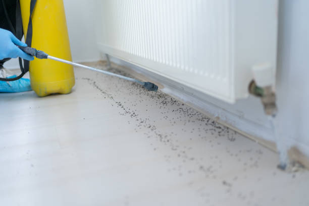 Best Emergency Pest Control  in Park City, KS