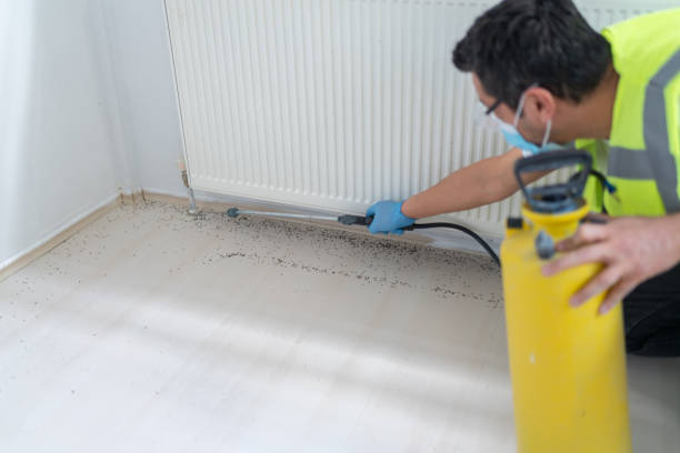 Best Cockroach Control Services  in Park City, KS